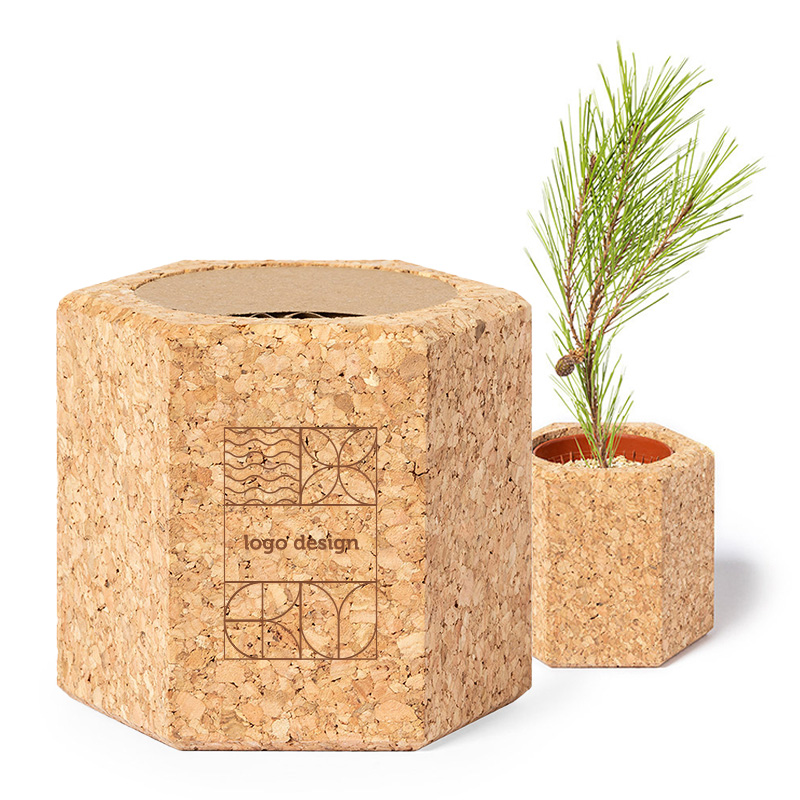 Cork flowerpot with seeds